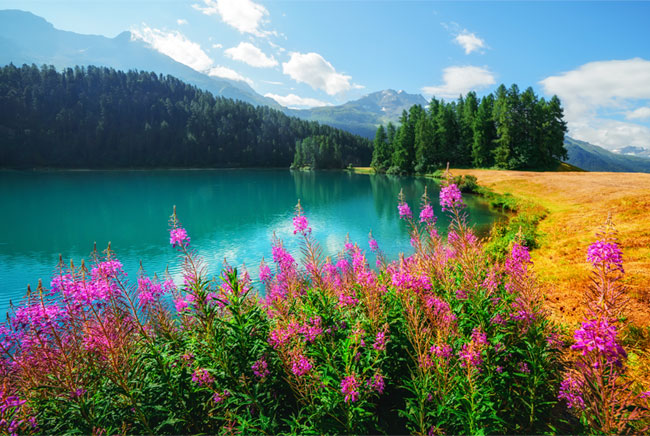Fotomurales o papel pintado lago champfèr